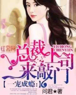 一宠成瘾:总裁上司来敲门