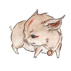 丹丘