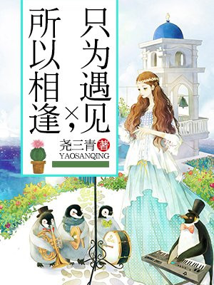 只为遇见,所以相逢