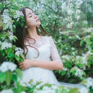 向日葵的微笑