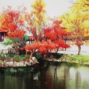 吾梦菲扬