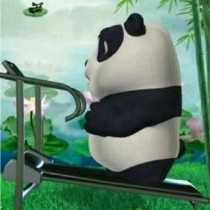 减肥的Panda