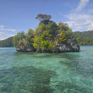 事未经历不知难