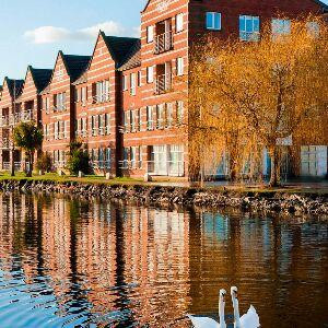 爆笑萌妃:邪王宠妻无度的圈子(掌阅)