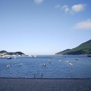 半抹曦月寄浮生