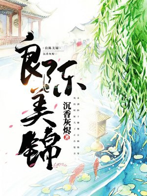 良陈美锦(任敏、此沙主演同名影视原著)