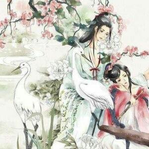 璃殇雪琴