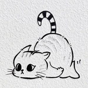 木南木南