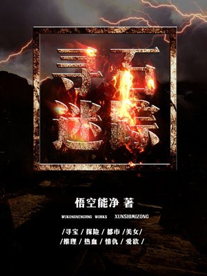 寻石迷踪