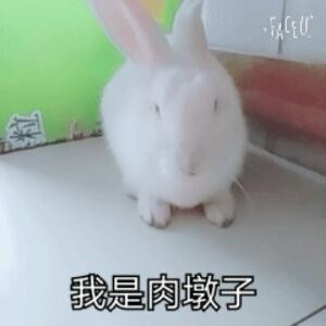 LO迪VE