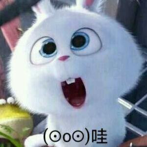 农女重生之丞相夫人的圈子(掌阅)