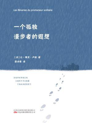 一个孤独漫步者的遐想