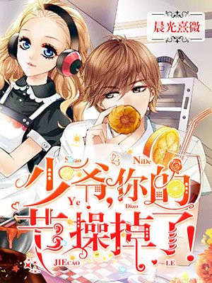 少爷,你的节操掉了!