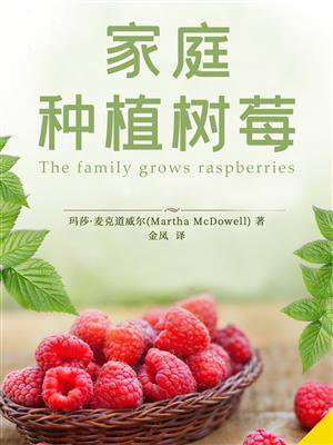 家庭种植树莓