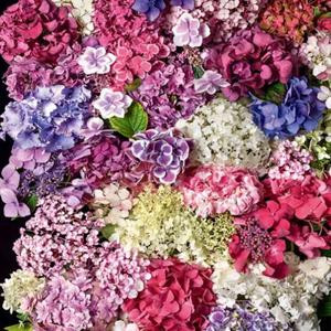 ᶫᵒᵛᵉᵧₒᵤ ?