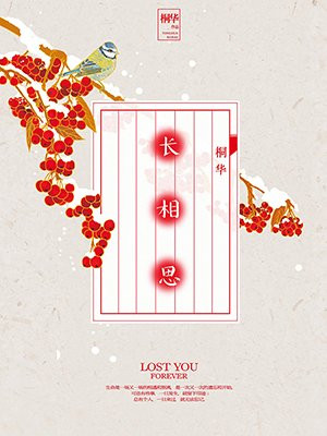 长相思①如初见(杨紫、张晚意主演同名影视剧原著)