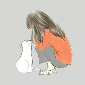 琵琶