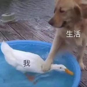 阿秀