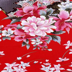 愿君安好