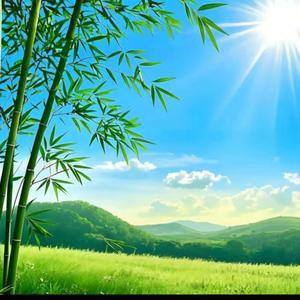 我行我素