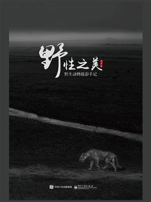 野性之美：野生动物摄影手记（全彩）