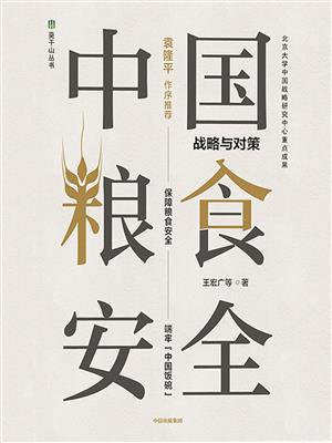 中国粮食安全：战略与对策