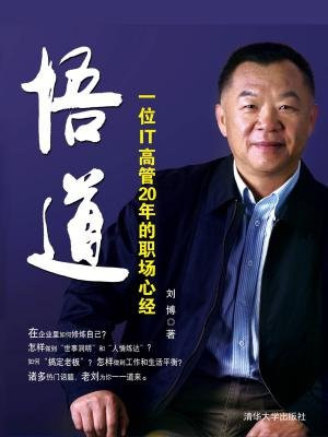 悟道：一位IT高管20年的职场心经