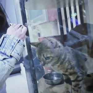 吾忠郭乙邓厂臣