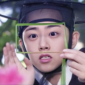 玉影一枝净无尘