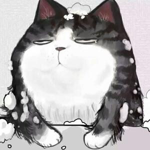 碧狐公子