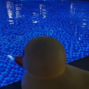 如果云知道