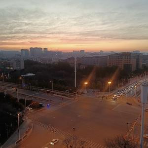 大狗阿怒
