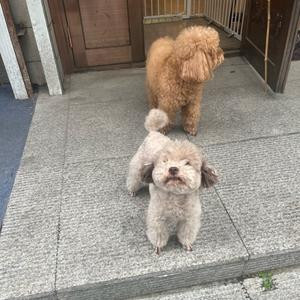 混日子的老板娘