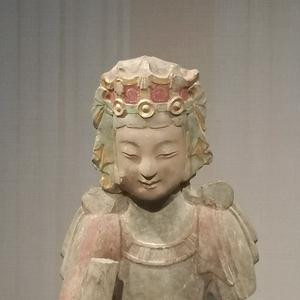 秦企鹅