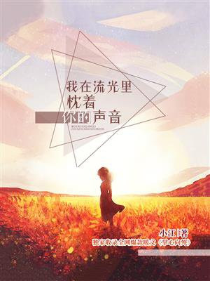 我在流光里枕着你的声音（全新修订版）