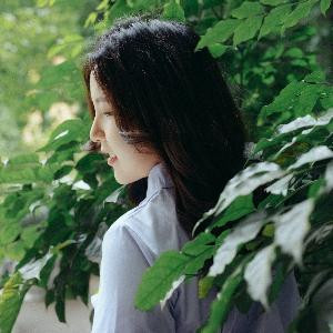 我自随风起