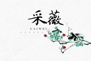 成都师范学院采薇文学社