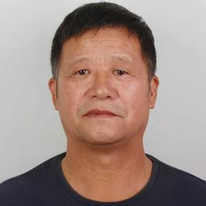 金老师