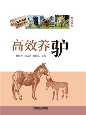 高效养驴