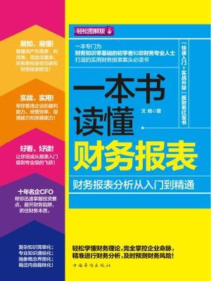 一本书读懂财务报表：财务报表分析从入门到精通