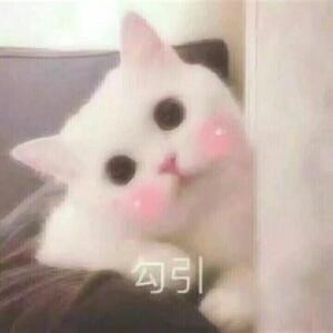 皮森森